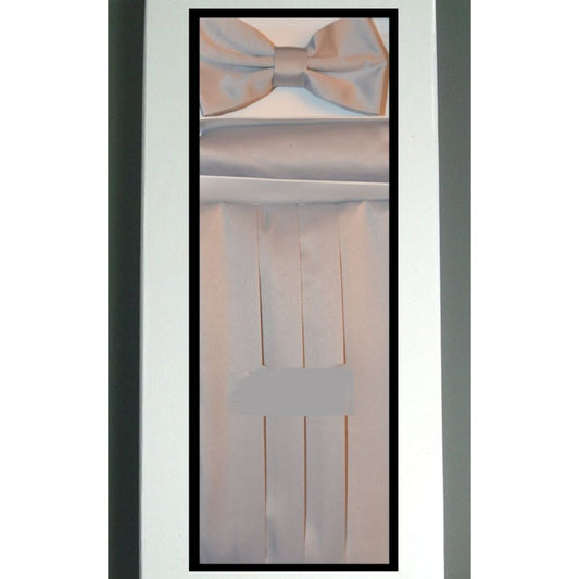 Silver Cummerbund Set